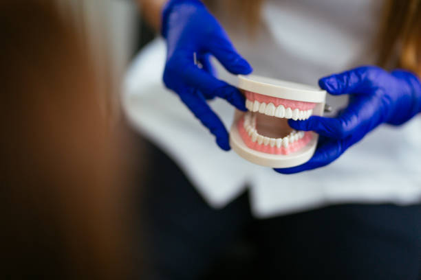  Buckhannon, WV Dental Services Pros
